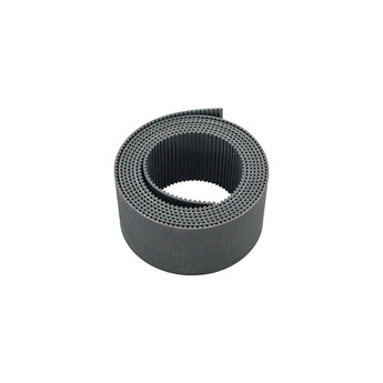 Y-Belt