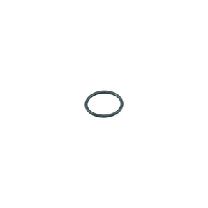 O-ring Titania pump